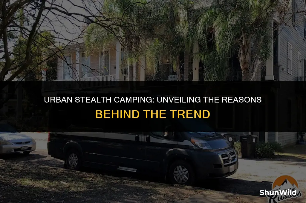 why people urban stealth camp