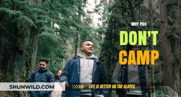 Exploring the Barriers: Why POC Don't Camp