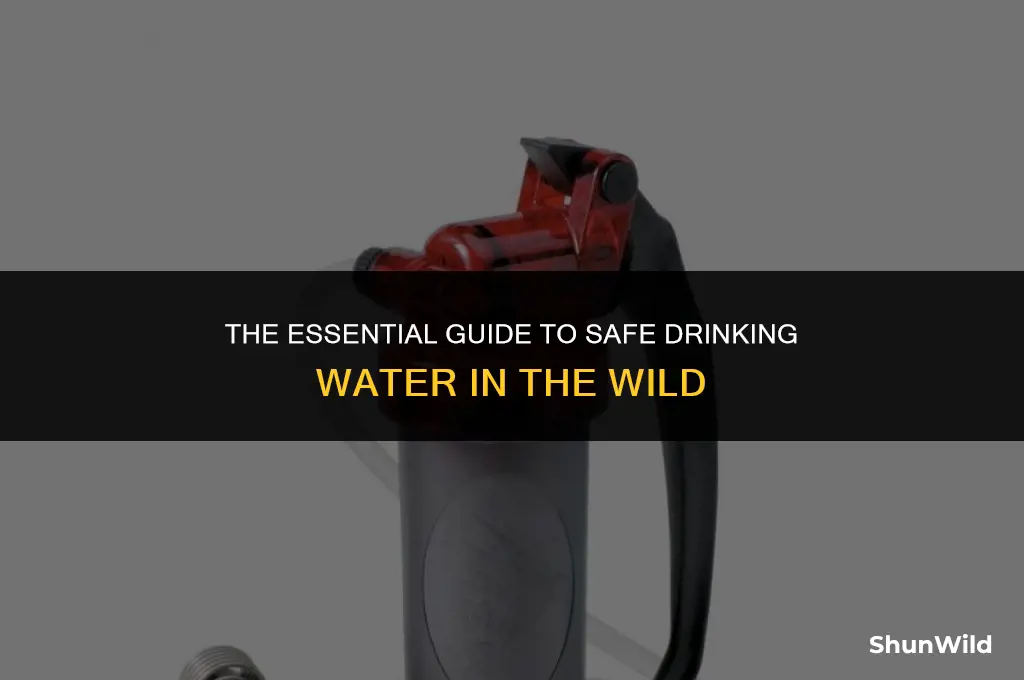 why purify water when camping