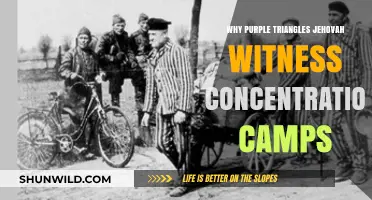 Purple Triangles: Jehovah's Witnesses' Silent Resistance in Nazi Camps