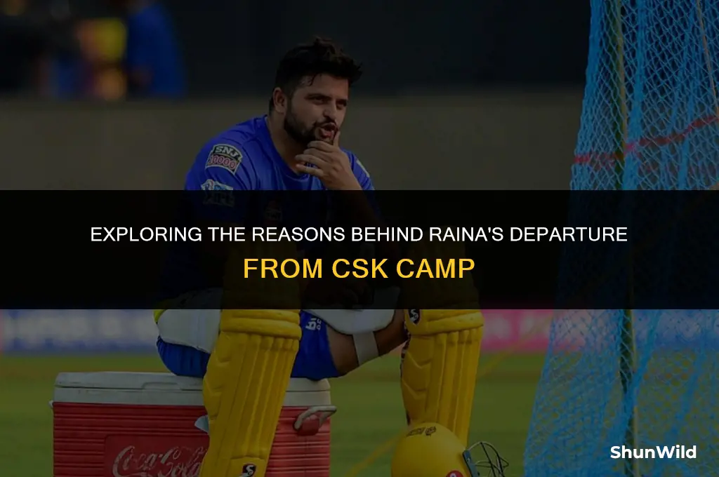 why raina left csk camp