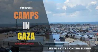 Understanding the Humanitarian Crisis: Refugee Camps in Gaza
