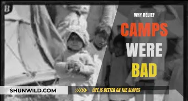 The Dark Side of Relief Camps: Unintended Consequences and Failures