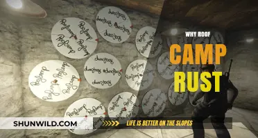 Unveiling the Mystery: Why Roof Camps Succumb to Rust