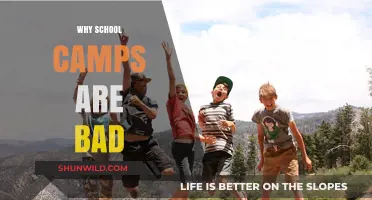 The Hidden Downsides of School Camps: A Critical Perspective