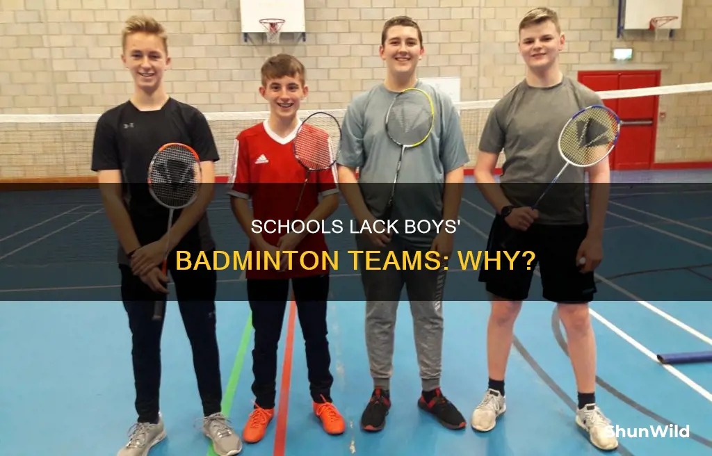 why schools not have a boys badminton teanlm