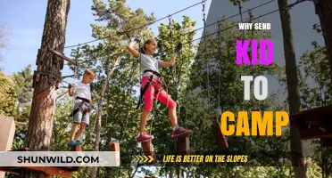 Unlocking Potential: The Transformative Power of Summer Camps for Kids