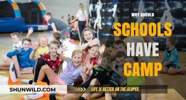 Exploring the Benefits: Why Schools Should Embrace Camp Programs