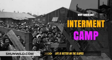 The Forgotten Horrors: Why Internment Camps Should Never Exist