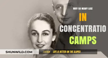 Lice Infestations in Concentration Camps: Historical Causes and Impact