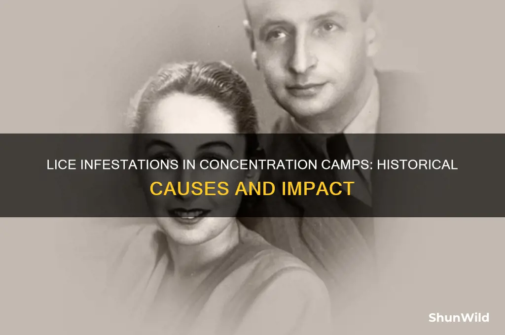 why so many lice in concentration camps