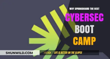 Why Springboard Tops Cybersecurity Bootcamps: Expert Training, Career Success