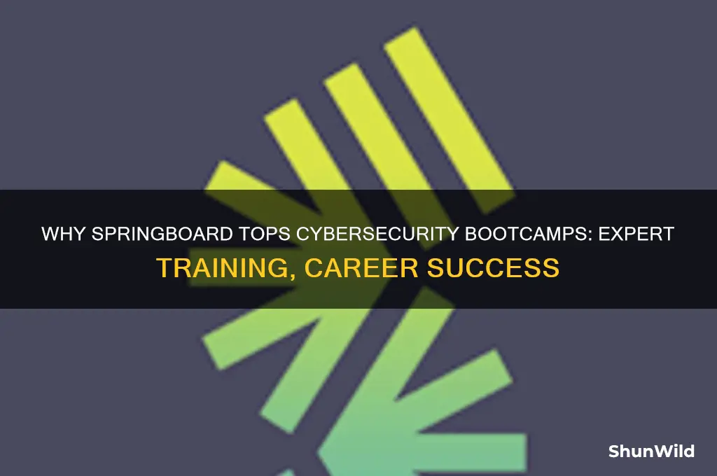 why springboard the best cybersec boot camp