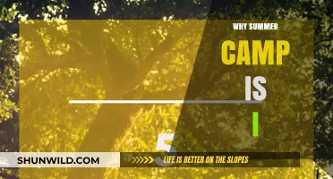 Why Summer Camp is Important for Your Child's Development