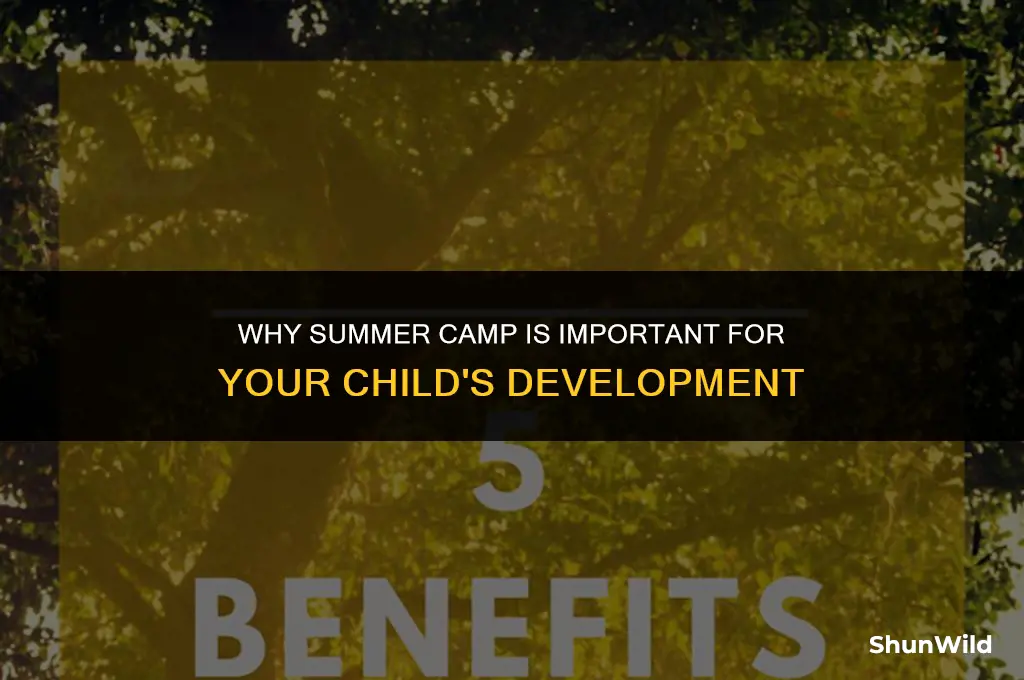 why summer camp is i