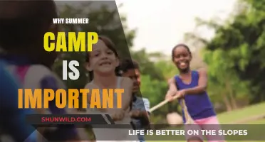Why Summer Camp is Essential for Growth and Development
