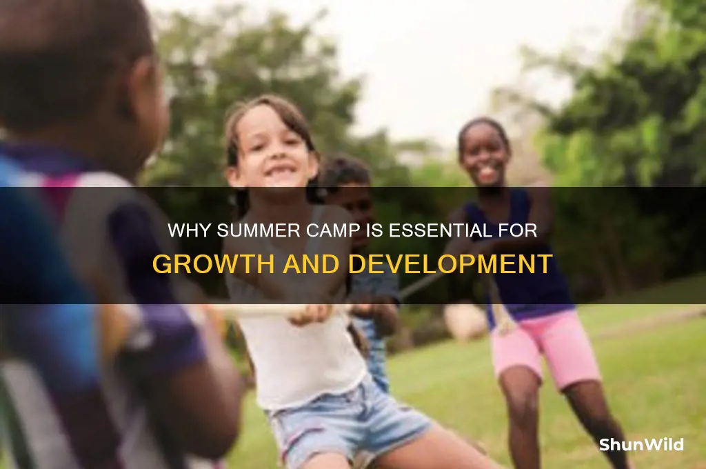 why summer camp is important