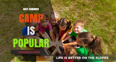 Why Summer Camp is a Hit: Unlocking Fun and Growth for Kids