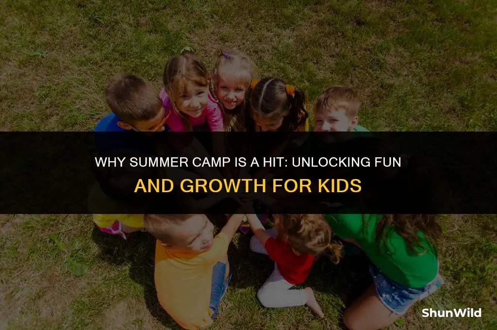 why summer camp is popular