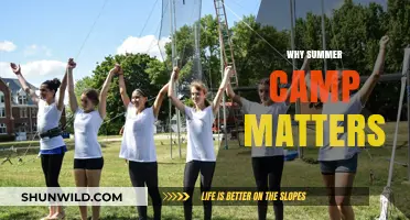 Unlocking Potential: The Transformative Power of Summer Camp Experiences
