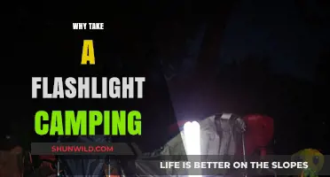 Why Take a Flashlight Camping: Essential Uses and Benefits