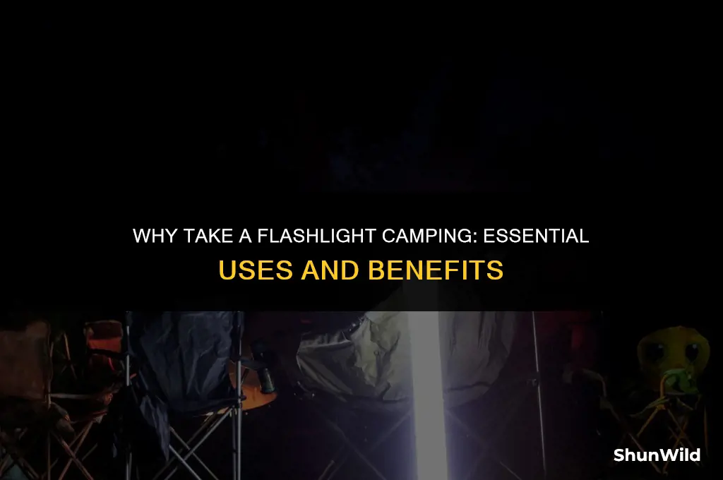 why take a flashlight camping