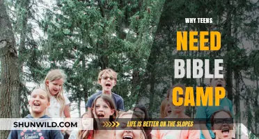 Unplugged and Uplifted: The Transformative Power of Bible Camp for Teens