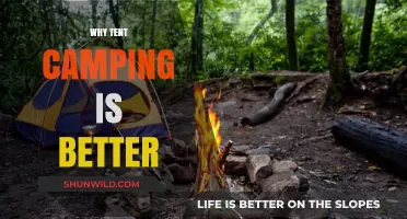 Embracing Nature: The Unmatched Benefits of Tent Camping