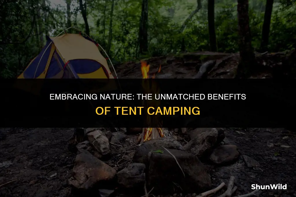 why tent camping is better