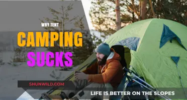 Unpacking the Myths: Why Tent Camping Isn't Always a Breeze