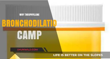 Exploring Theophylline's Role in Bronchodilation: A Comprehensive Guide
