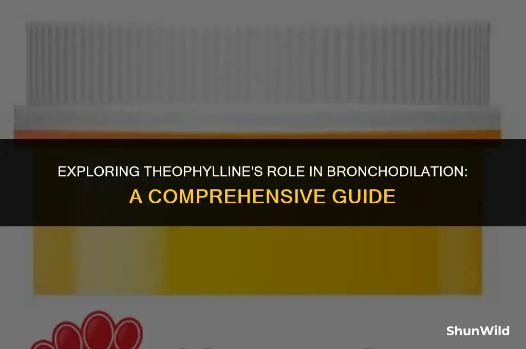 why theophylline bronchodilation camp