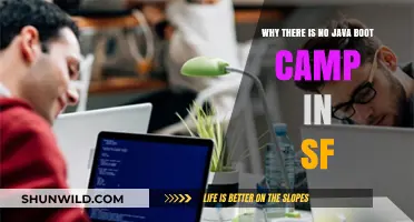 Why San Francisco Lacks Java Bootcamps: Exploring the Tech Landscape