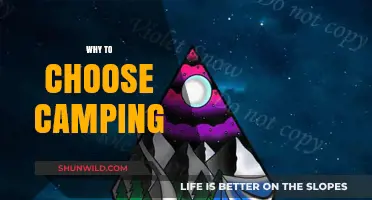 Embrace the Wilderness: Why Camping Should Be Your Next Adventure