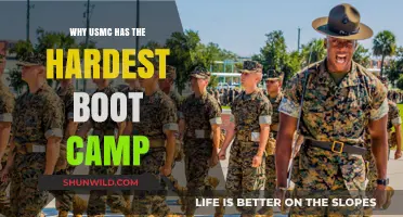 USMC Boot Camp: The Toughest Challenge in Military Training