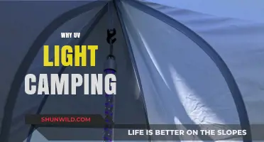 Embracing the Outdoors: The Benefits of UV Light Camping