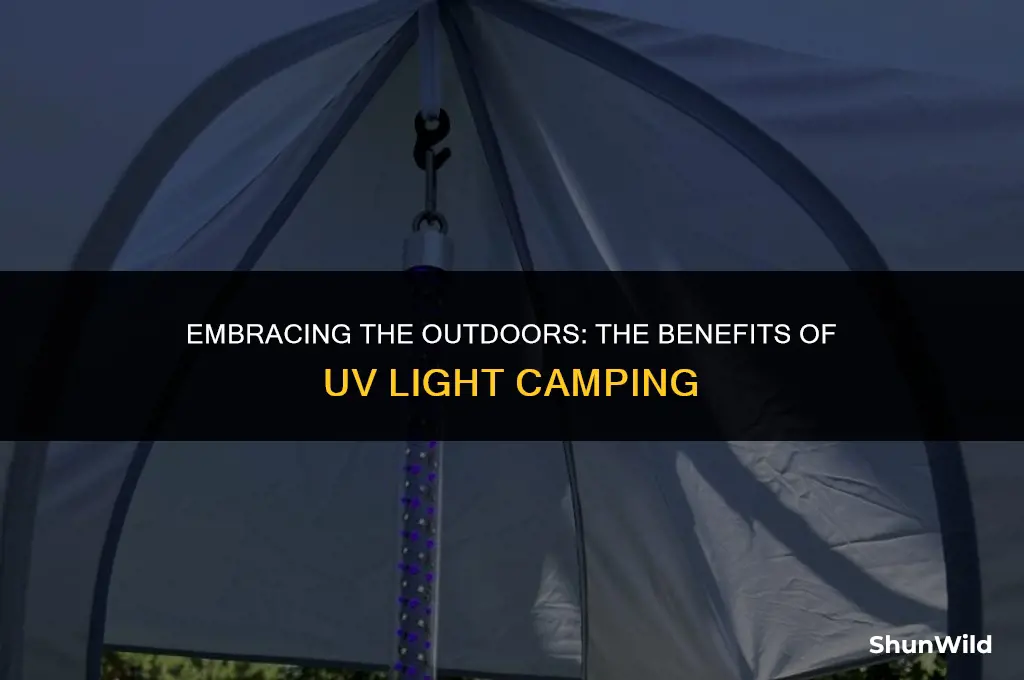 why uv light camping