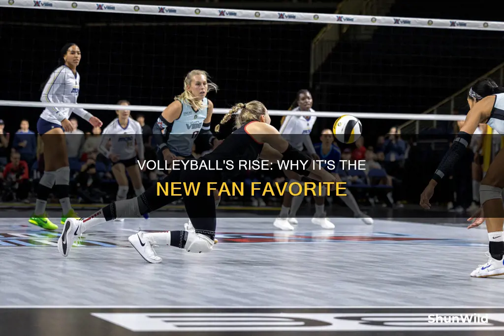 why volleyball not basketball is winning the popular vote essay