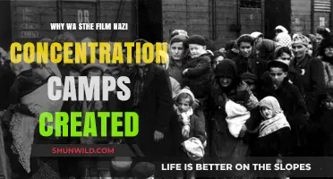 The Dark Origins of Nazi Concentration Camps: A Historical Analysis
