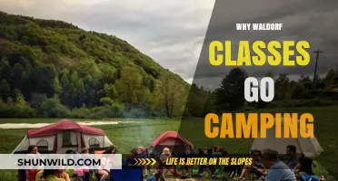 Exploring Nature: The Unique Benefits of Waldorf Camping Trips