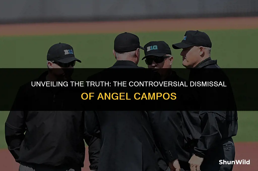 why was angel campos fired