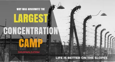 Auschwitz: The Largest Concentration Camp and Its Dark Legacy