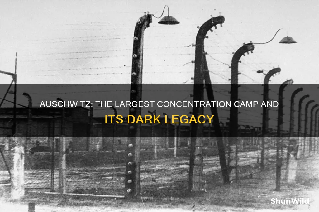 why was auschwitz the largest concentration camp