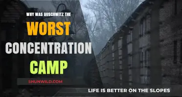 Auschwitz: The Epitome of Nazi Horror and Human Suffering