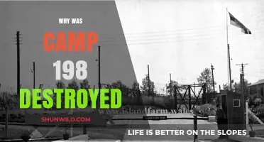 Unraveling the Mystery: The Untold Story of Camp 198's Demise
