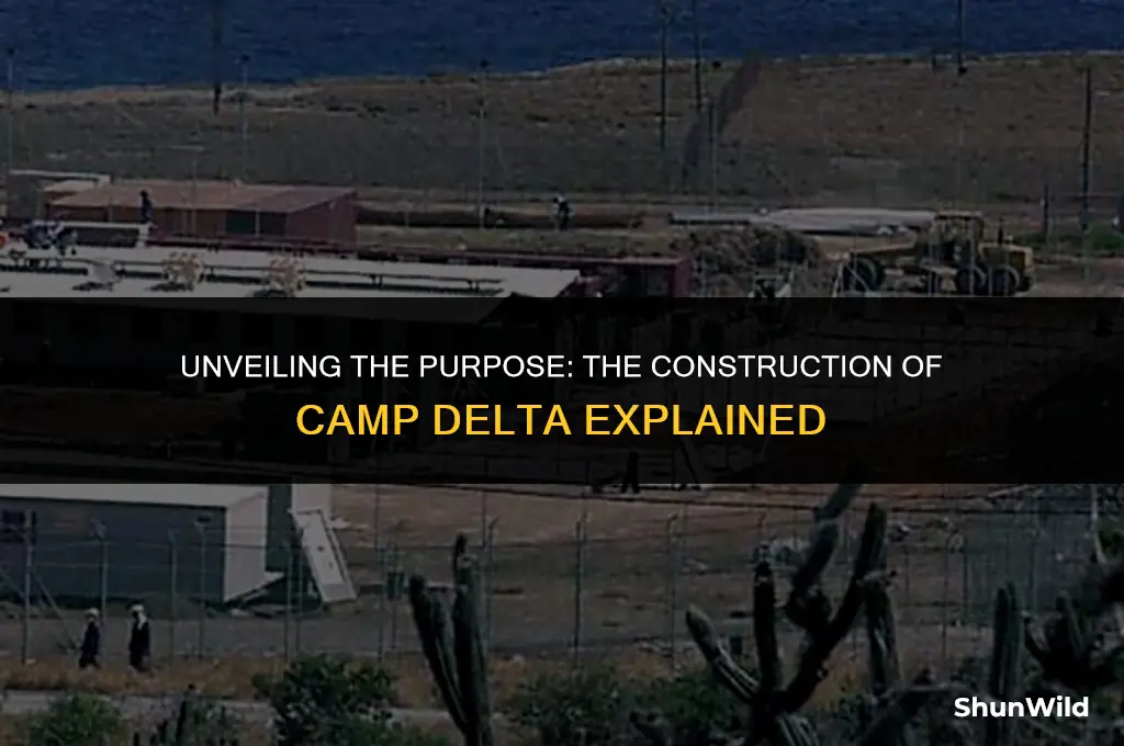 why was camp delta constructed