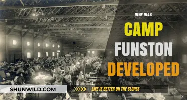 Unveiling the Origins: The Fascinating Story Behind Camp Funston's Development
