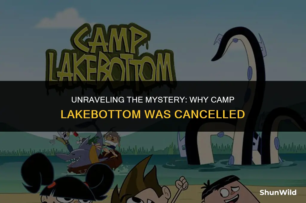 why was camp lakebottom cancelled