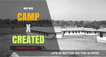 Unveiling the Origins: The Creation of Camp X Explained