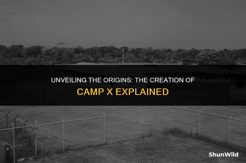 why was camp x created